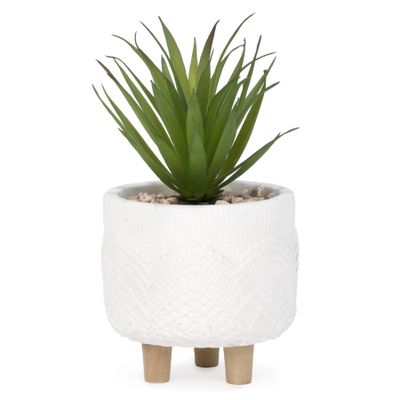 Plant in white textured pot – On foot