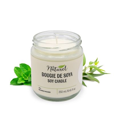 Soy candle 250ml – Eucalyptus and mint