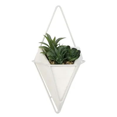 Wall plant – triangle pot