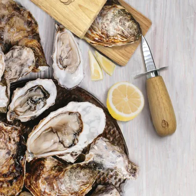 Oyster tool kit