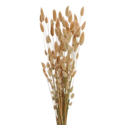 Bunny tail bouquet – Natural