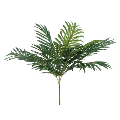 Tige de feuilles de palmier – Verte