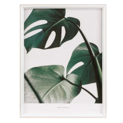 Wall frame – Foliage