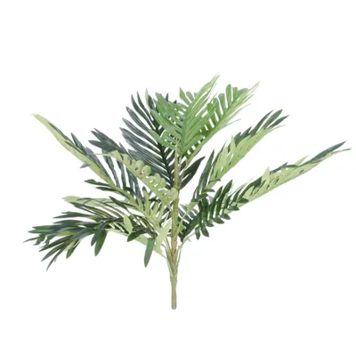 Tige de palmier verte – 24″
