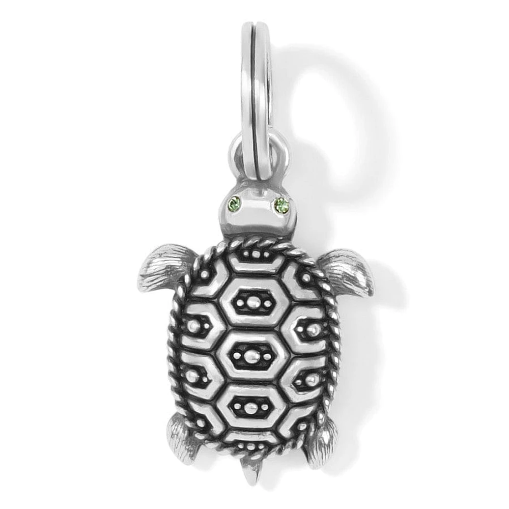 Pismo Turtle Charm