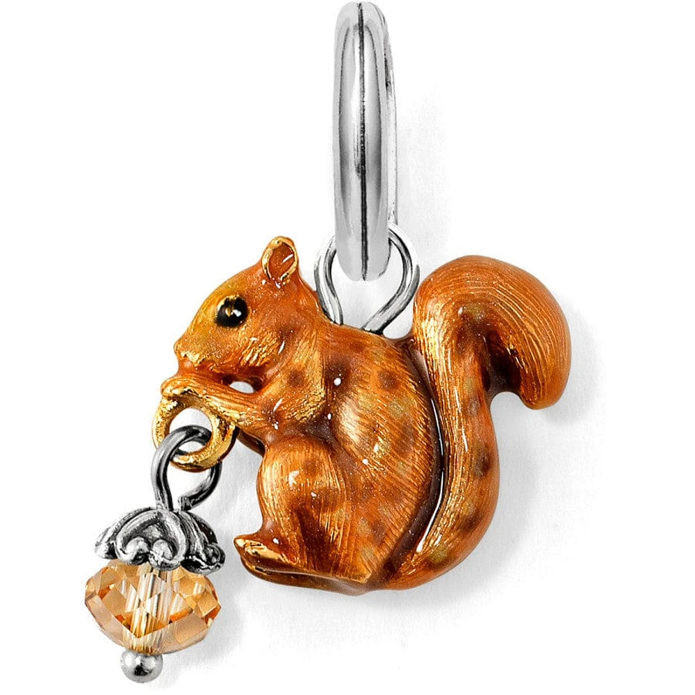 Squirrel Charm