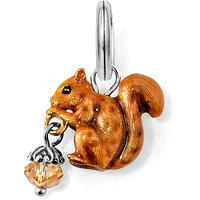 Squirrel Charm