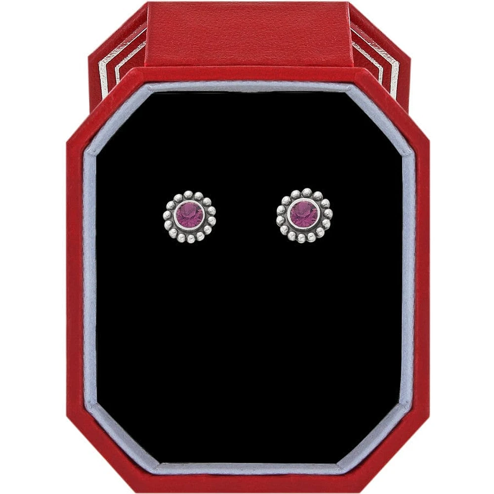Twinkle Amethyst Mini Post Earrings Gift Box