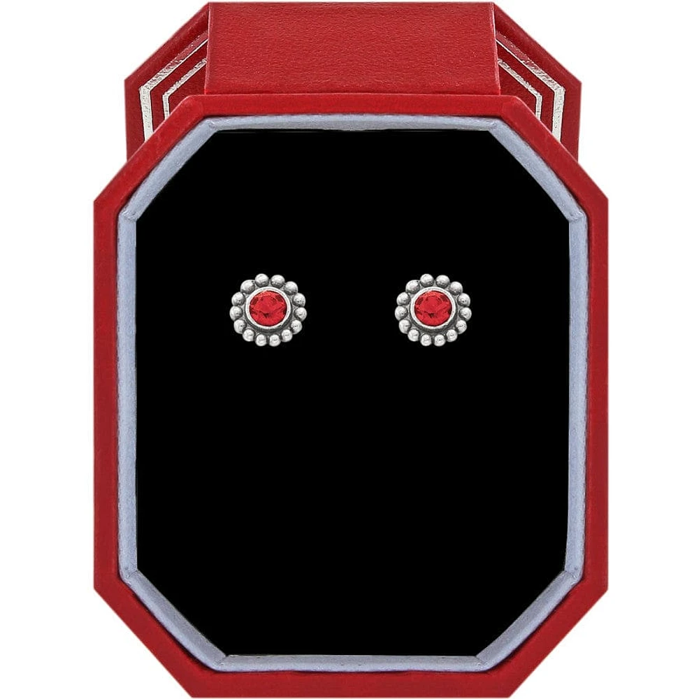 Twinkle Garnet Mini Post Earrings Gift Box