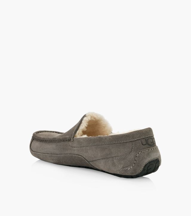 UGG ASCOT - Grey Suede | BrownsShoes 