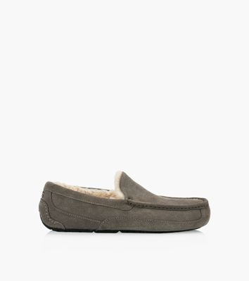 UGG ASCOT - Grey Suede | BrownsShoes
