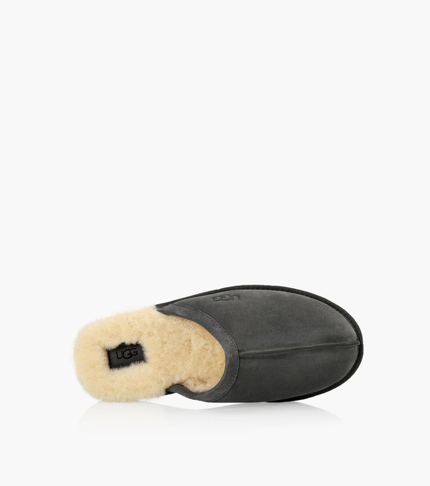 UGG SCUFF - Grey Suede | BrownsShoes