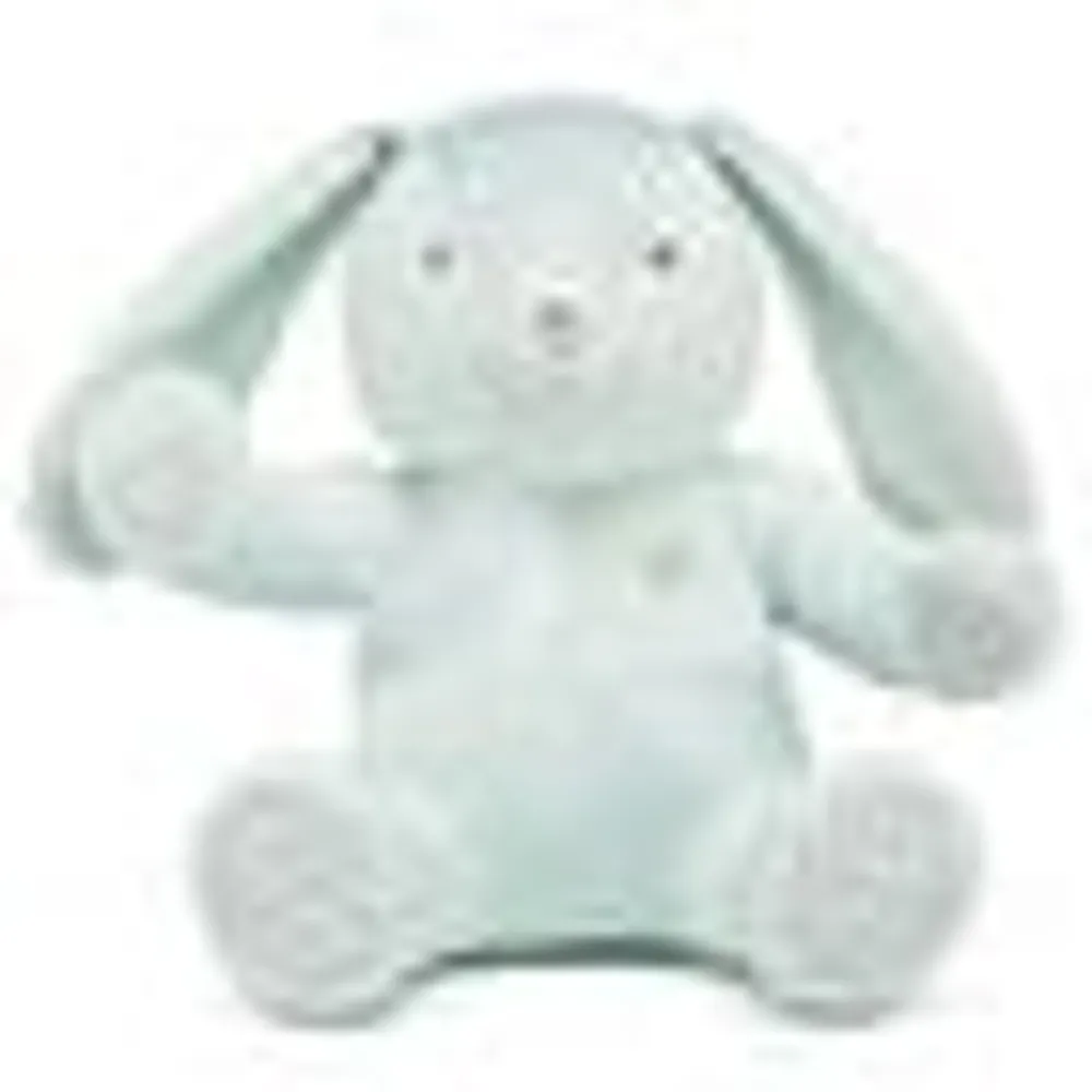 Mint Bunny Build-A-Bear Collectible Featuring Swarovski® crystals