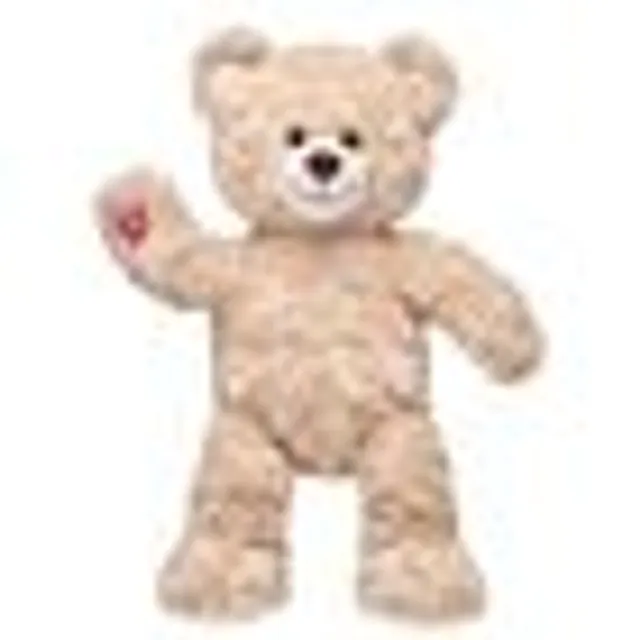 Sashey Teddy