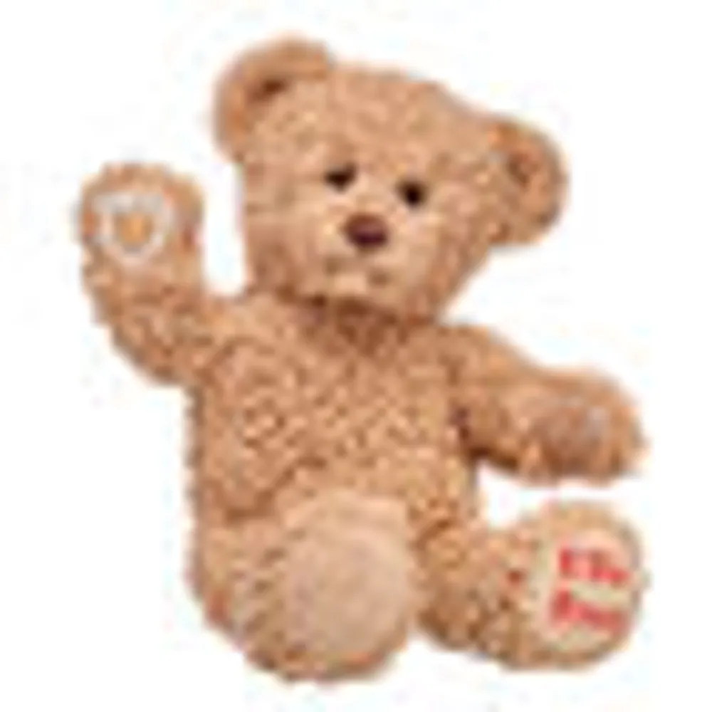 Personalized Timeless Teddy
