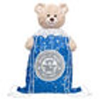 25th Anniversary Toy Bear Carrier