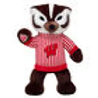 University of Wisconsin® Bucky Badger™