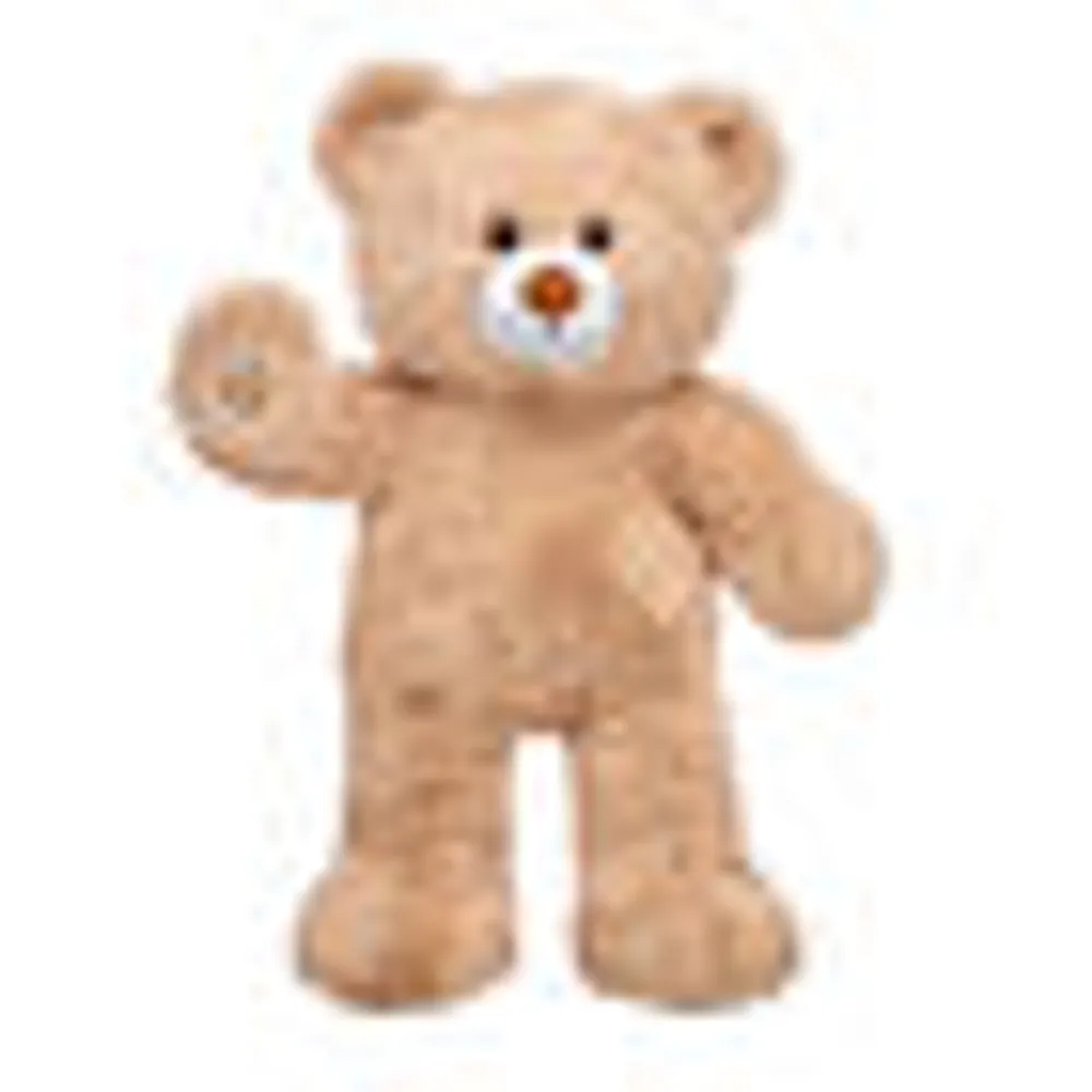 Cuddly Brown Bear