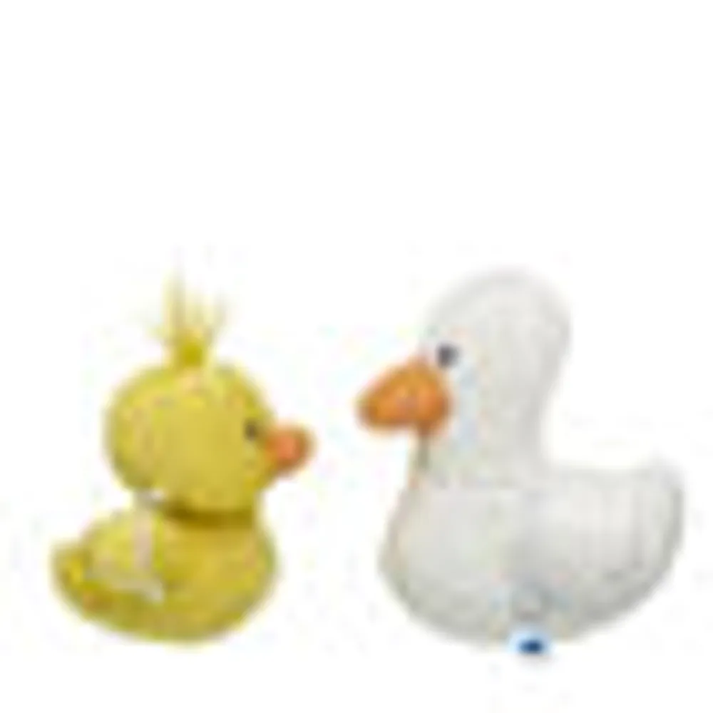 Friends Chick & Duck Accessory Set