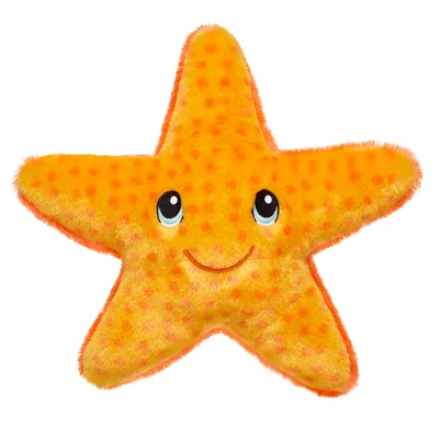 Sun's Out Starfish