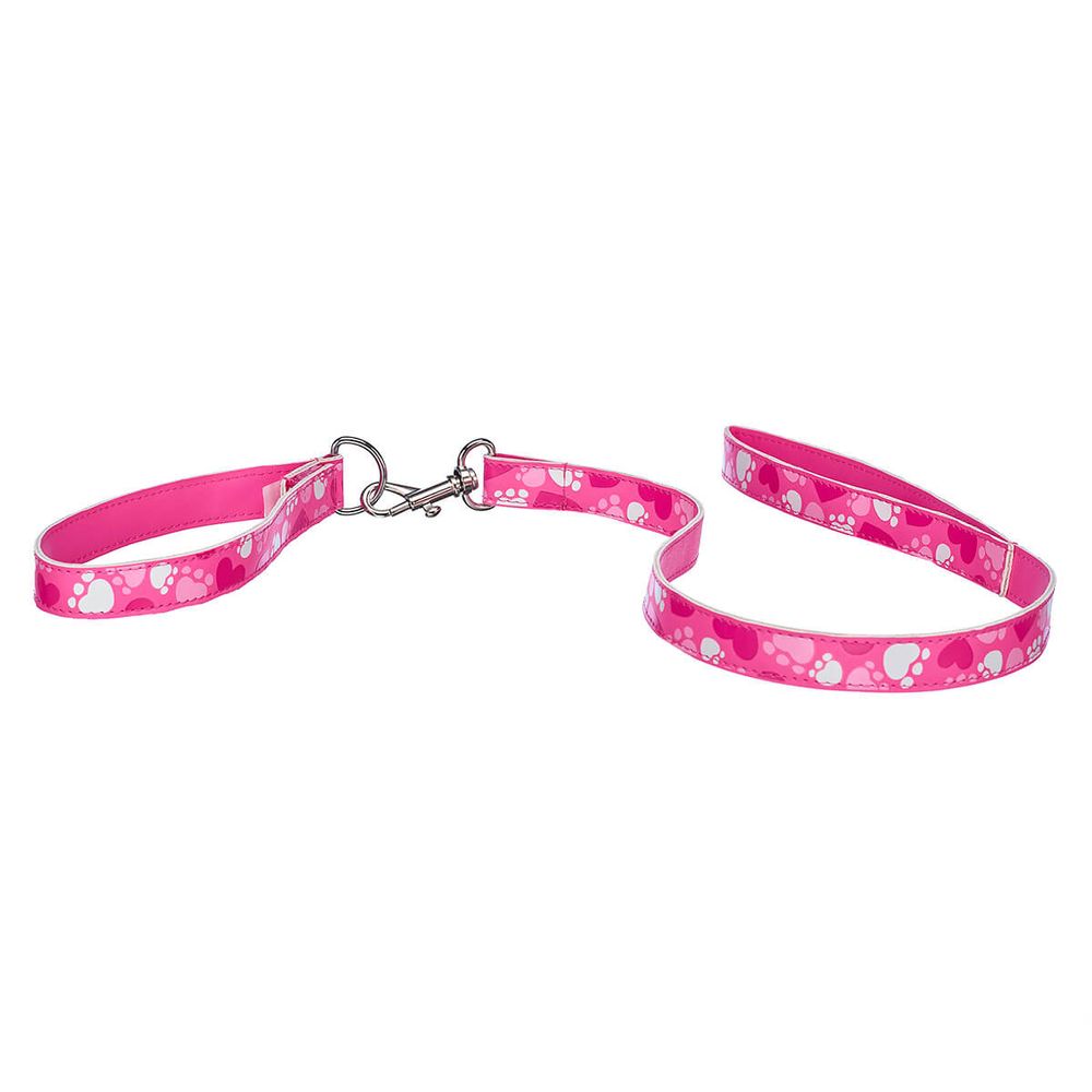 Promise Pets™ Pink Leash