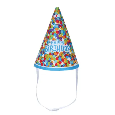Birthday Party Hat