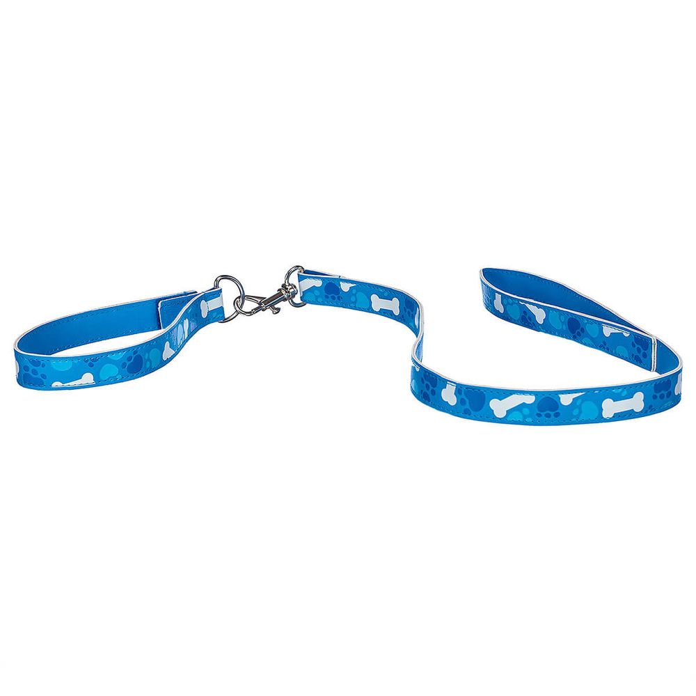 Promise Pets™ Blue Leash