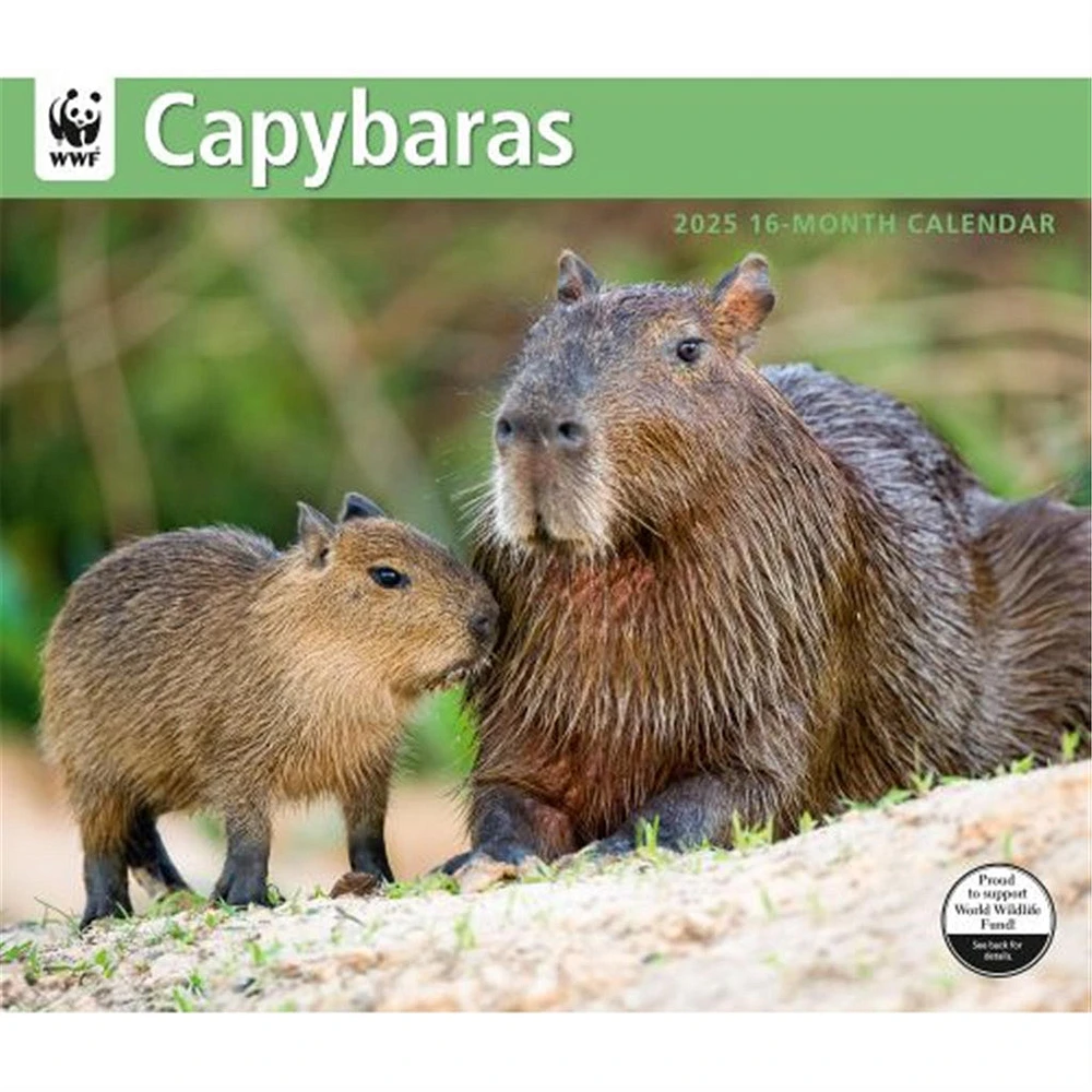 Capybara World Wildlife Fund Wall 2025 Calendar