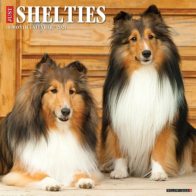 Just Shelties Wall 2025 Calendar