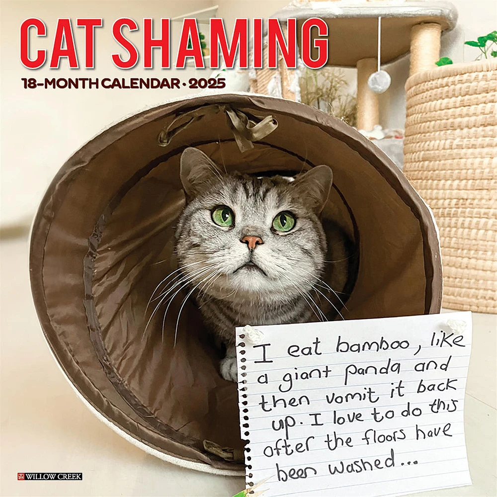 Cat Shaming Wall 2025 Calendar