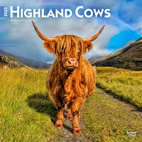 Highland Cows Wall 2025 Calendar