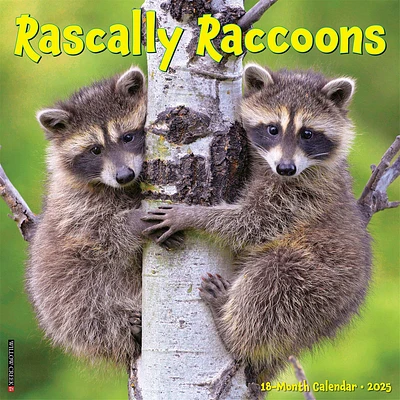 Rascally Raccoons Wall 2025 Calendar