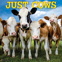 Just Cows Wall 2025 Calendar