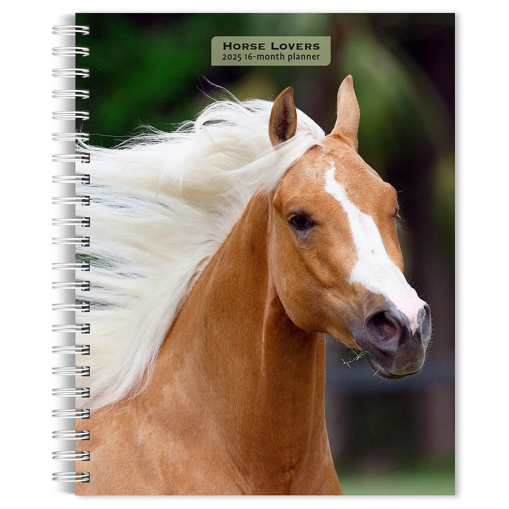 Horse Lovers Engagement 2025 Calendar - Online Exclusive