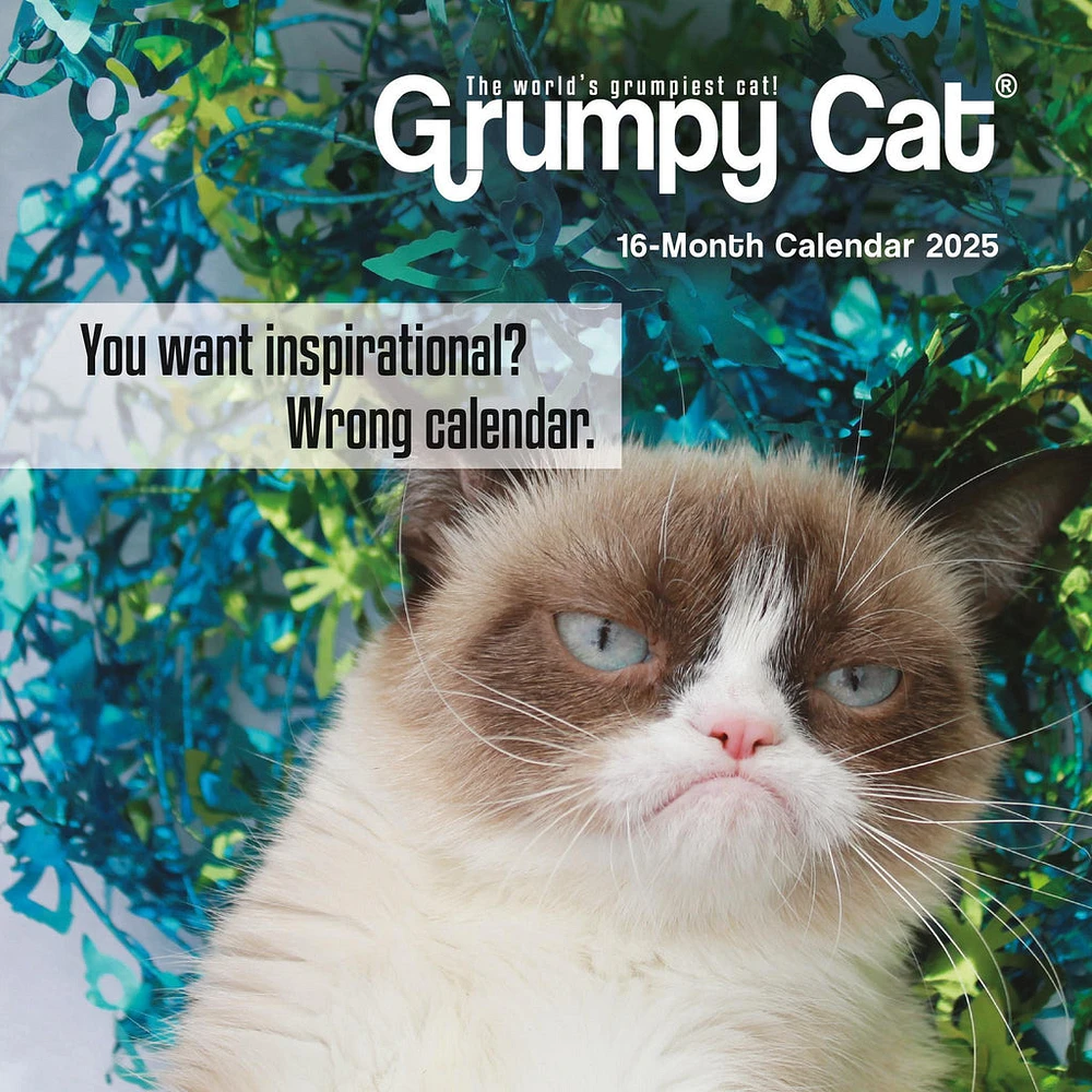 Grumpy Cat Mini 2025 Calendar