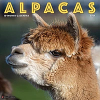 Alpacas Wall 2025 Calendar