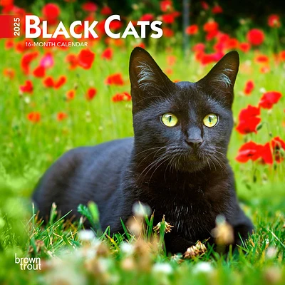 Black Cats Mini 2025 Calendar