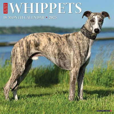 Just Whippets Wall 2025 Calendar