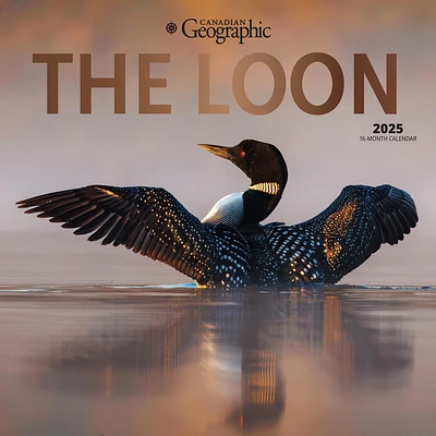 Loon Canadian Geographic Wall 2025 Calendar - Online Exclusive