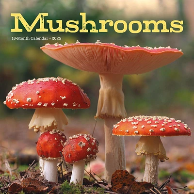 Mushrooms Wall 2025 Calendar