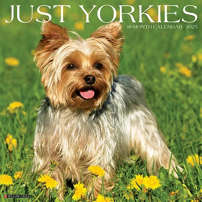 Just Yorkies Wall 2025 Calendar