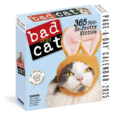 Bad Cat Box 2025 Calendar