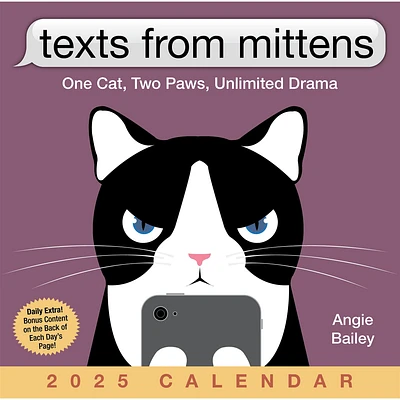 Texts From Mittens The Cat Box 2025 Calendar