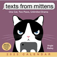 Texts From Mittens The Cat Box 2025 Calendar