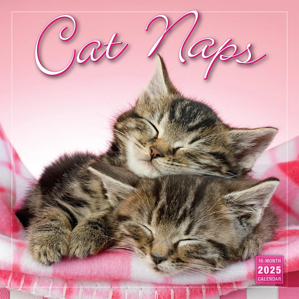 Cat Naps Wall 2025 Calendar - Online Exclusive