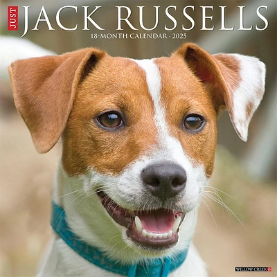 Just Jack Russells Wall 2025 Calendar