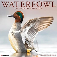 Waterfowl Wall 2025 Calendar