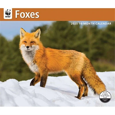 Foxes World Wildlife Fund Wall 2025 Calendar