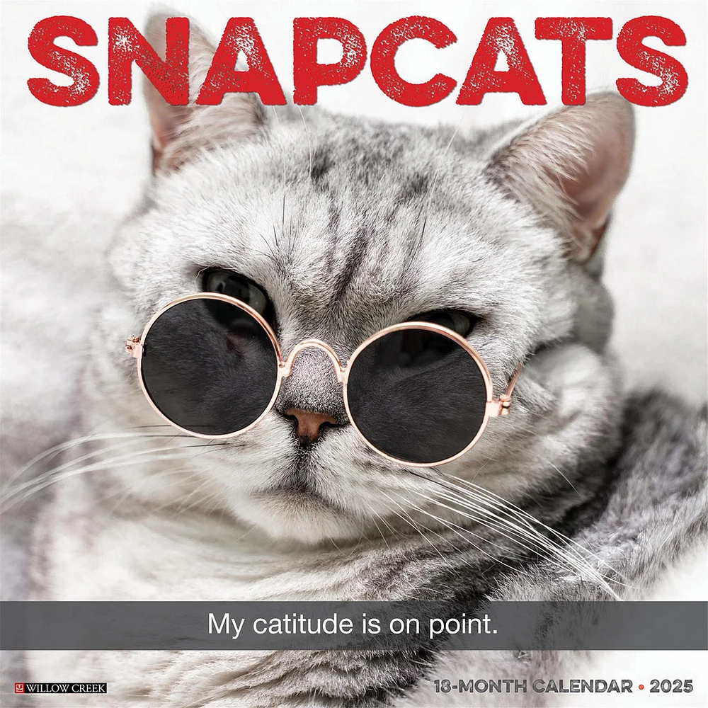 Snapcats Wall 2025 Calendar