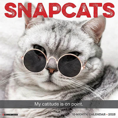 Snapcats Wall 2025 Calendar